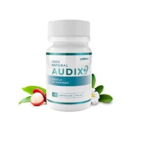 Audix