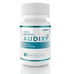 Audix
