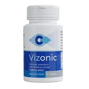 Vizonic