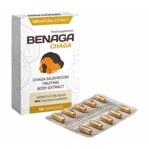 Benaga Chaga